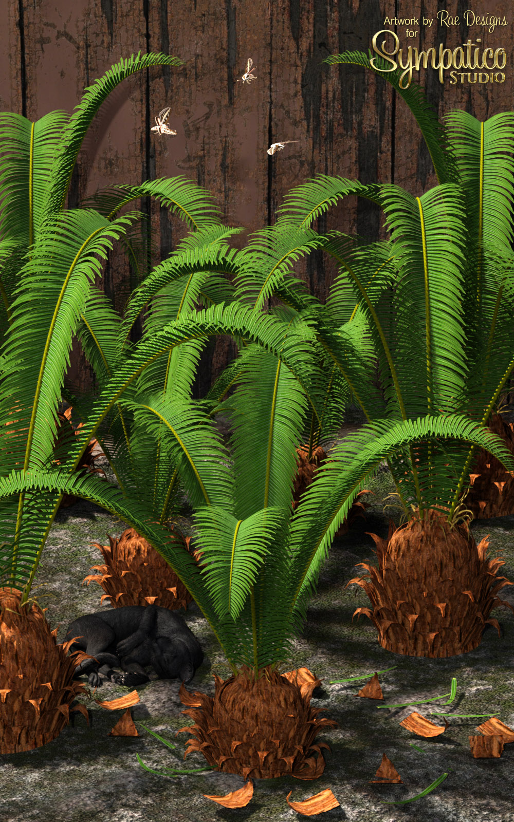 Sago Palms