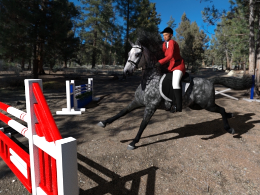 Show Jumping