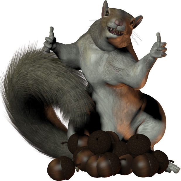 Squirrel