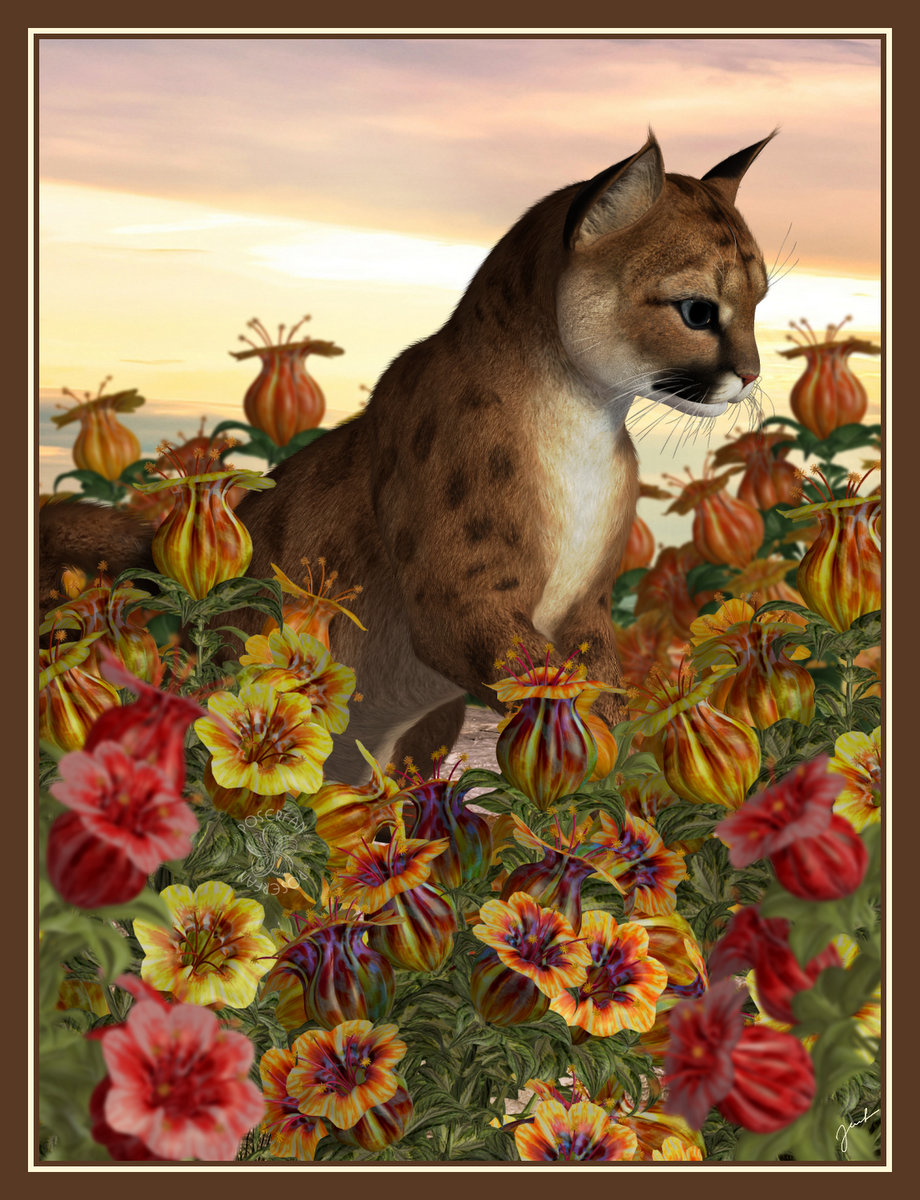 Stalker In The Flowers By Jeanne Harmon