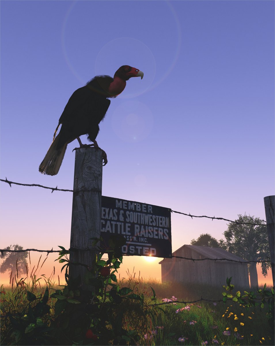 Texas Turkey By LadyLight
