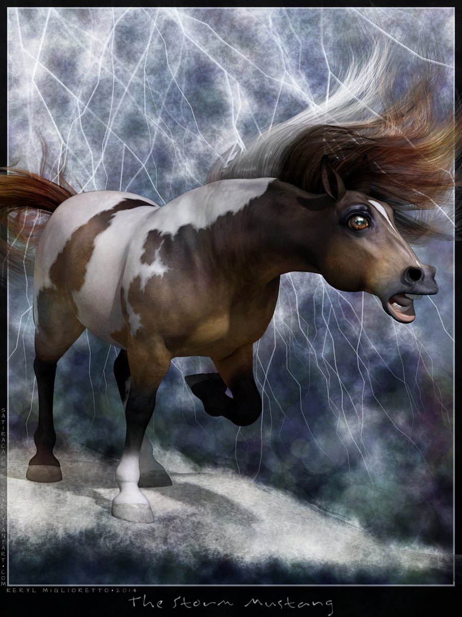 The Storm Mustang By Satira Capriccio