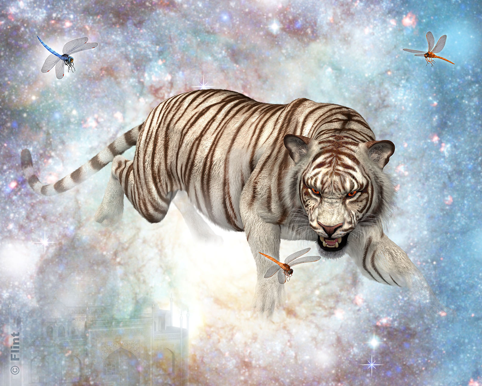 Tiger Nebula.jpg