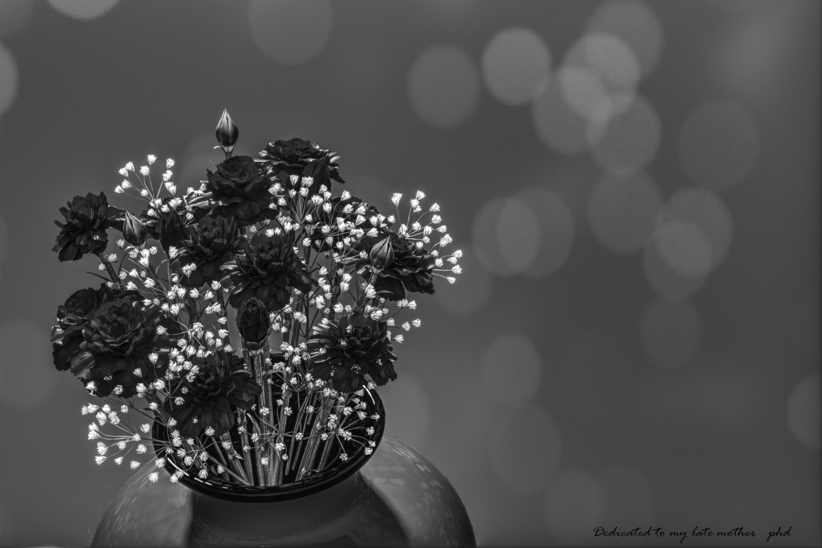 To Mother BW version