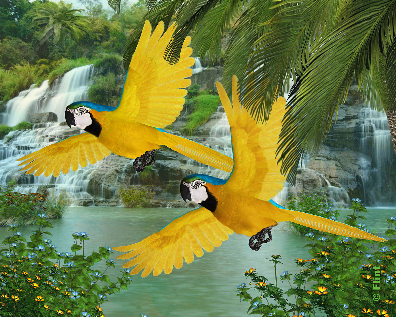 Tropical Flight.jpg