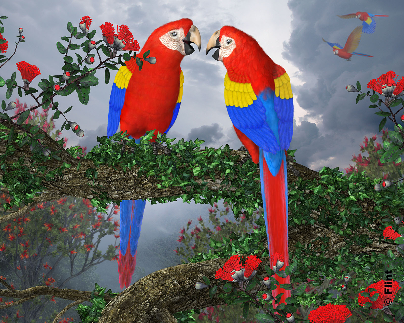 Tropical Skies.jpg