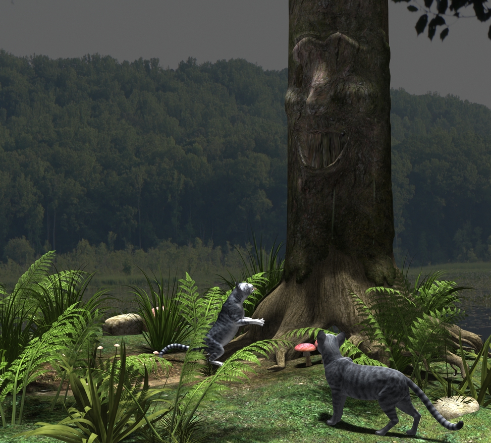 Two Confused Cats by tankrom