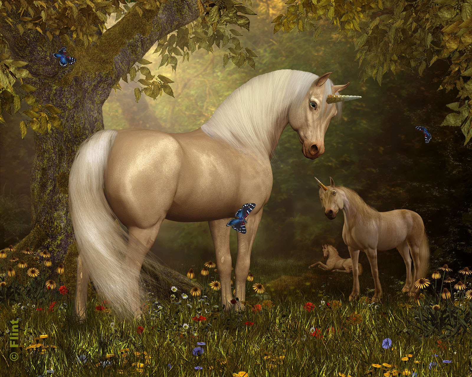 Unicorn Meadow