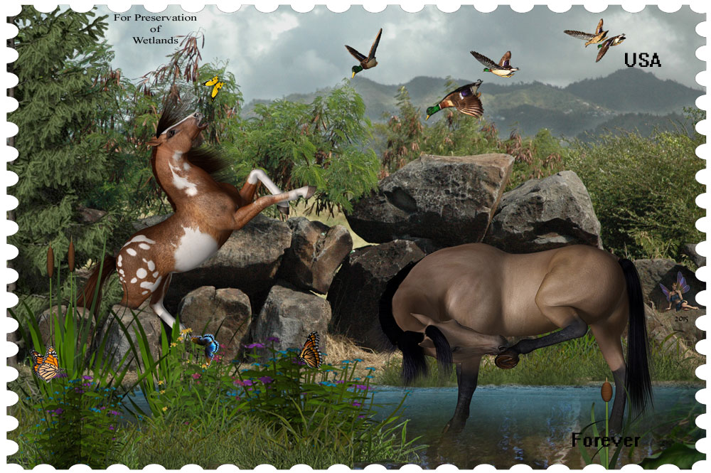 Wetlands-2-Stamp