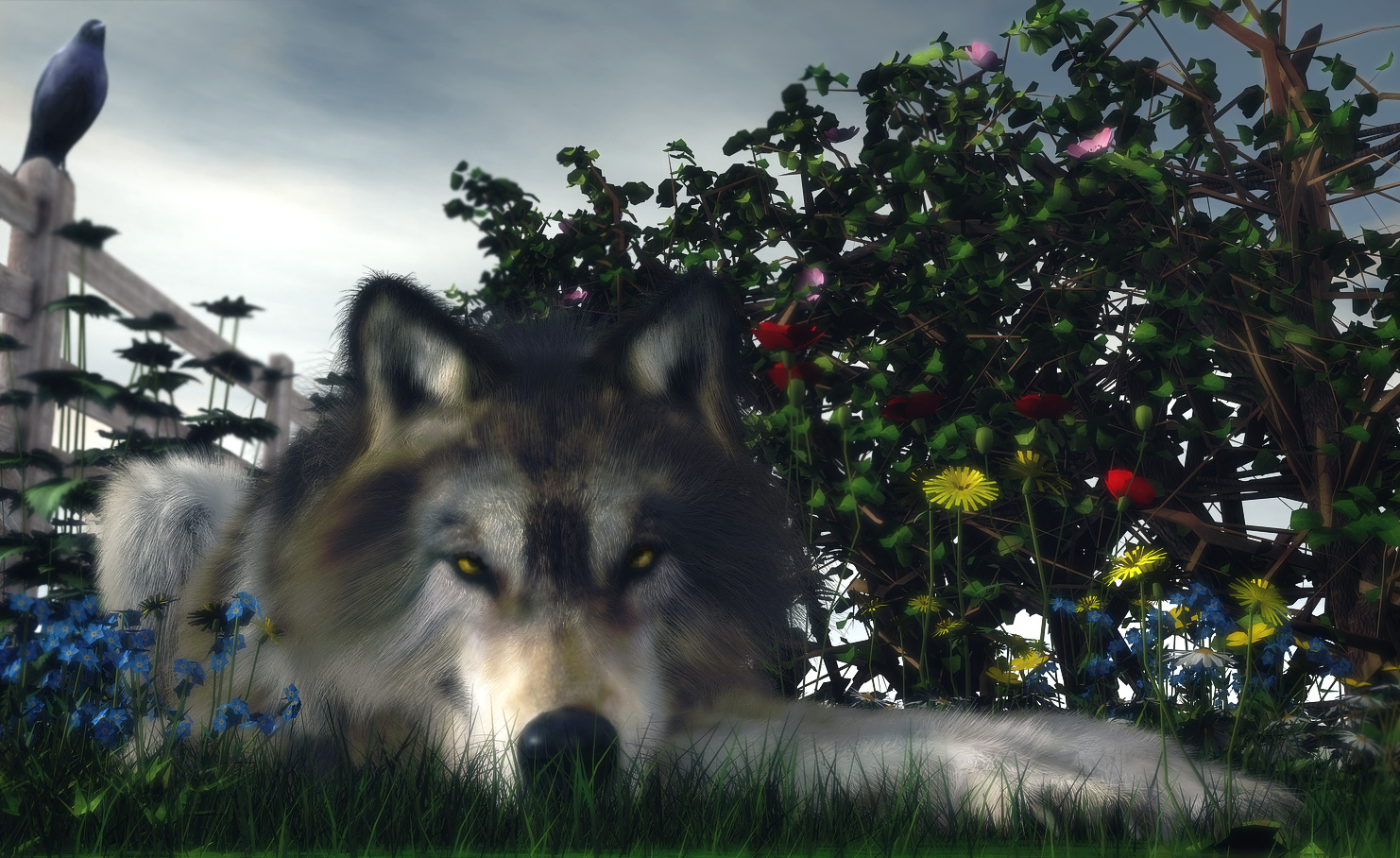Wolf-in-the-Grass